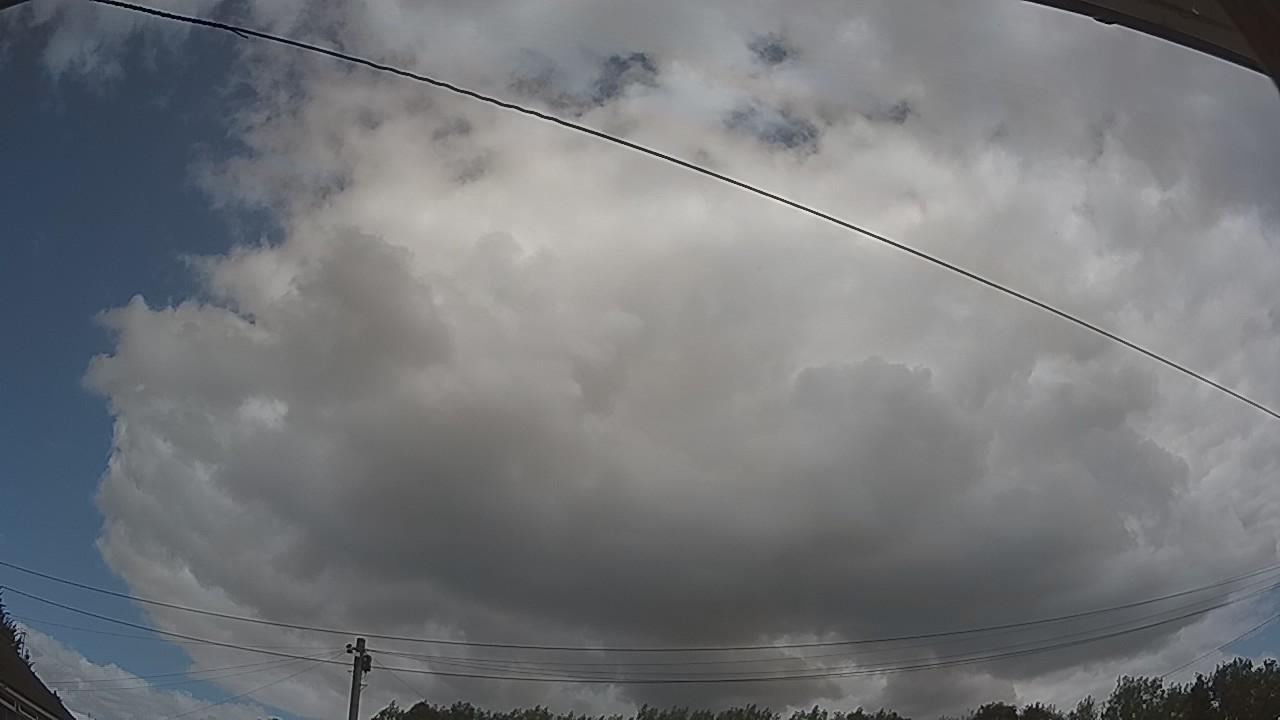 20260801_114242_cam2.jpg