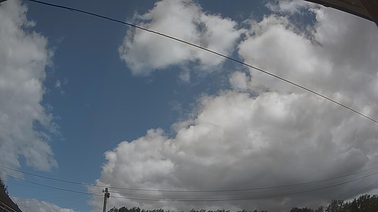 20260801_114615_cam2.jpg