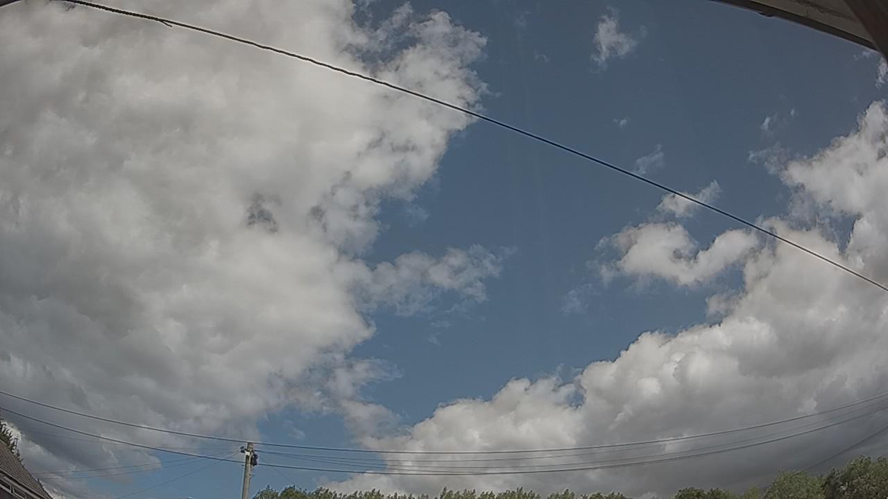 20260801_114948_cam2.jpg