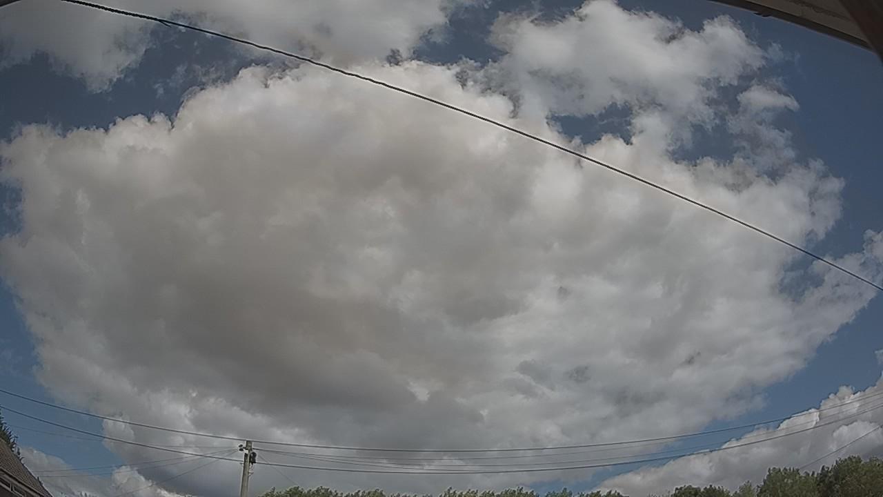 20260801_115654_cam2.jpg
