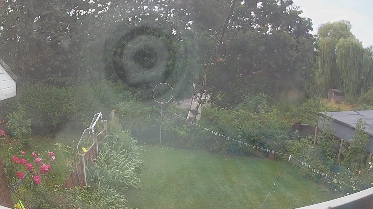20260801_120305_cam1.jpg