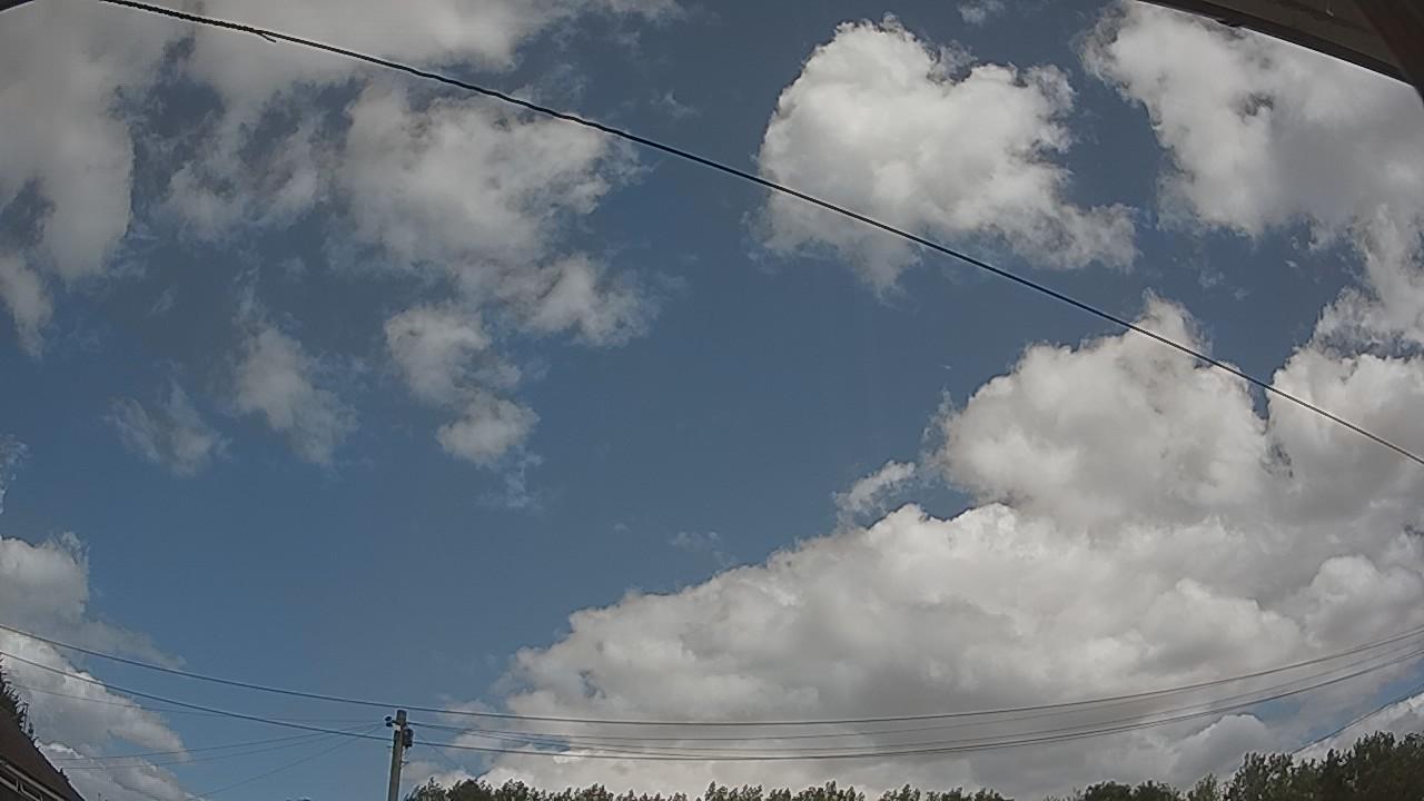 20260801_120306_cam2.jpg