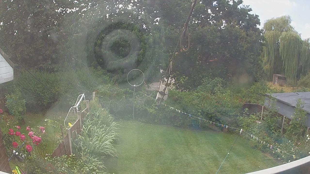 20260801_120612_cam1.jpg