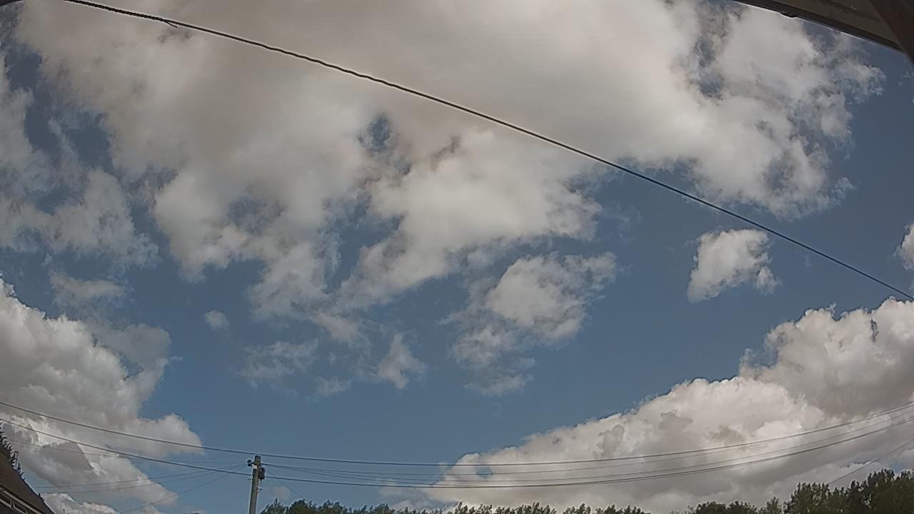20260801_120613_cam2.jpg