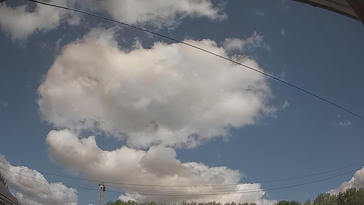 20260801_123409_cam2.jpg