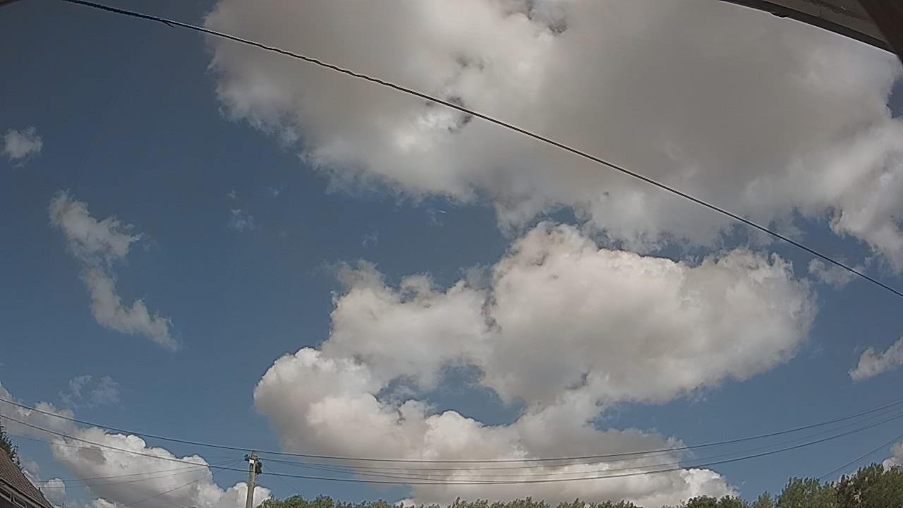 20260801_123715_cam2.jpg