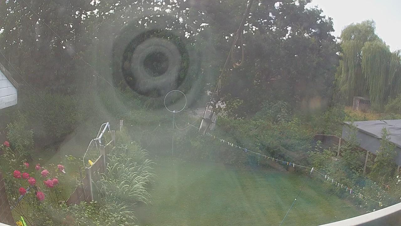 20260801_124326_cam1.jpg