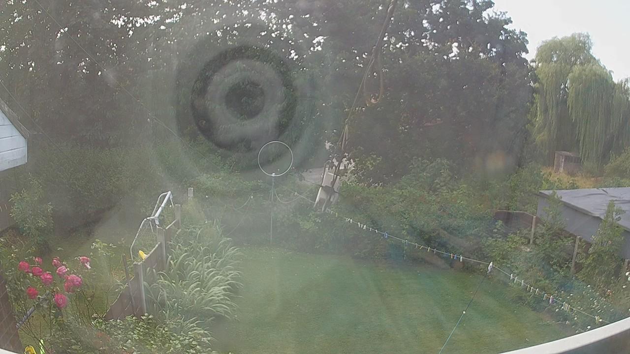 20260801_124632_cam1.jpg