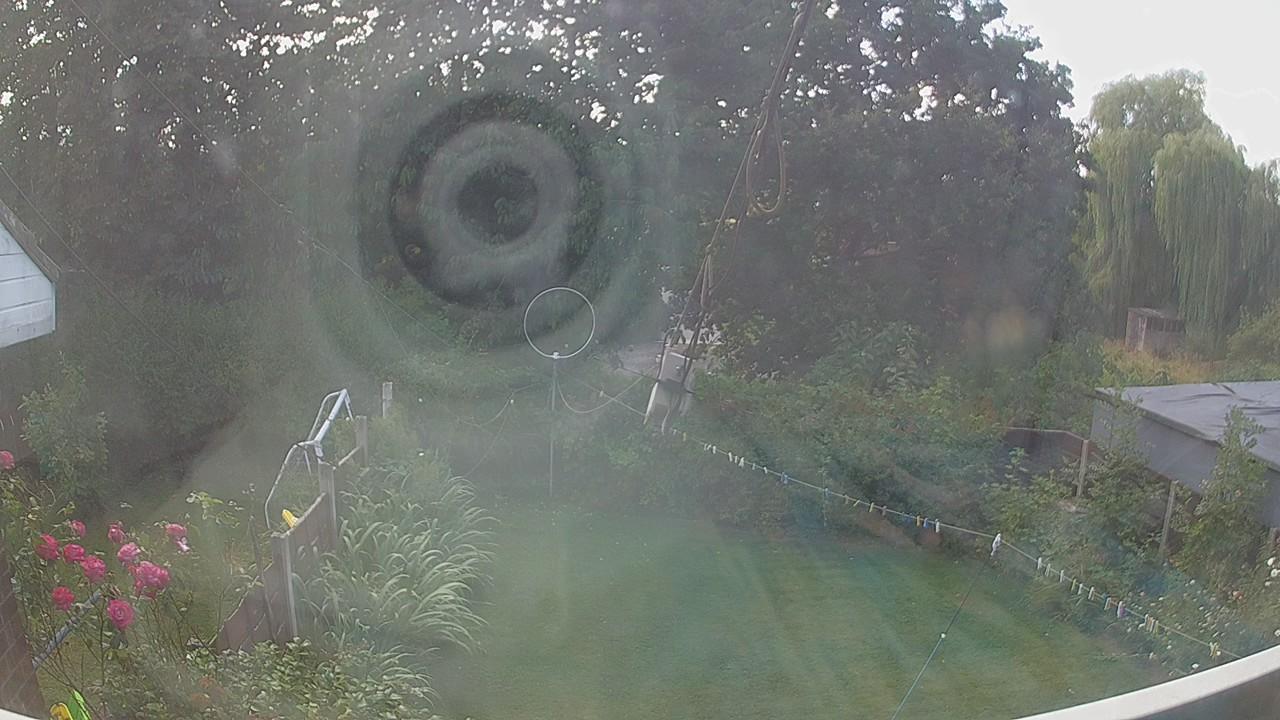 20260801_125907_cam1.jpg