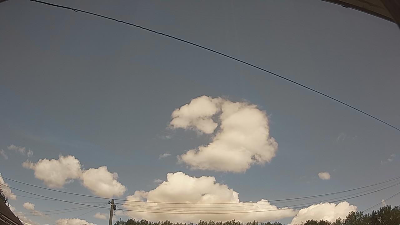 20260801_125908_cam2.jpg