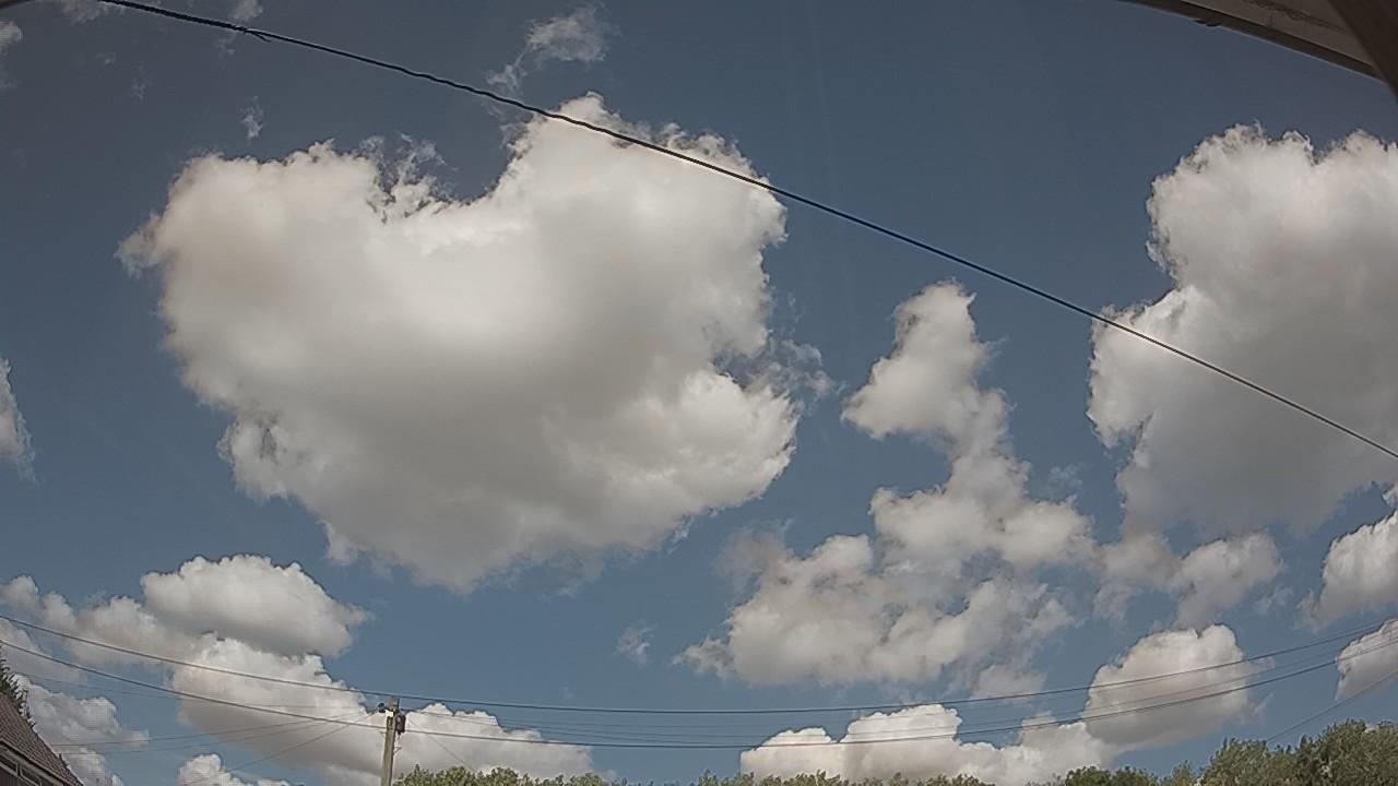 20260801_134958_cam2.jpg