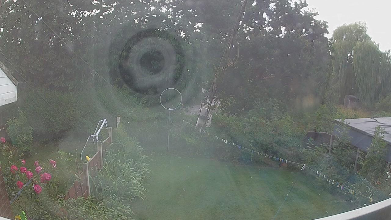 20260801_140028_cam1.jpg