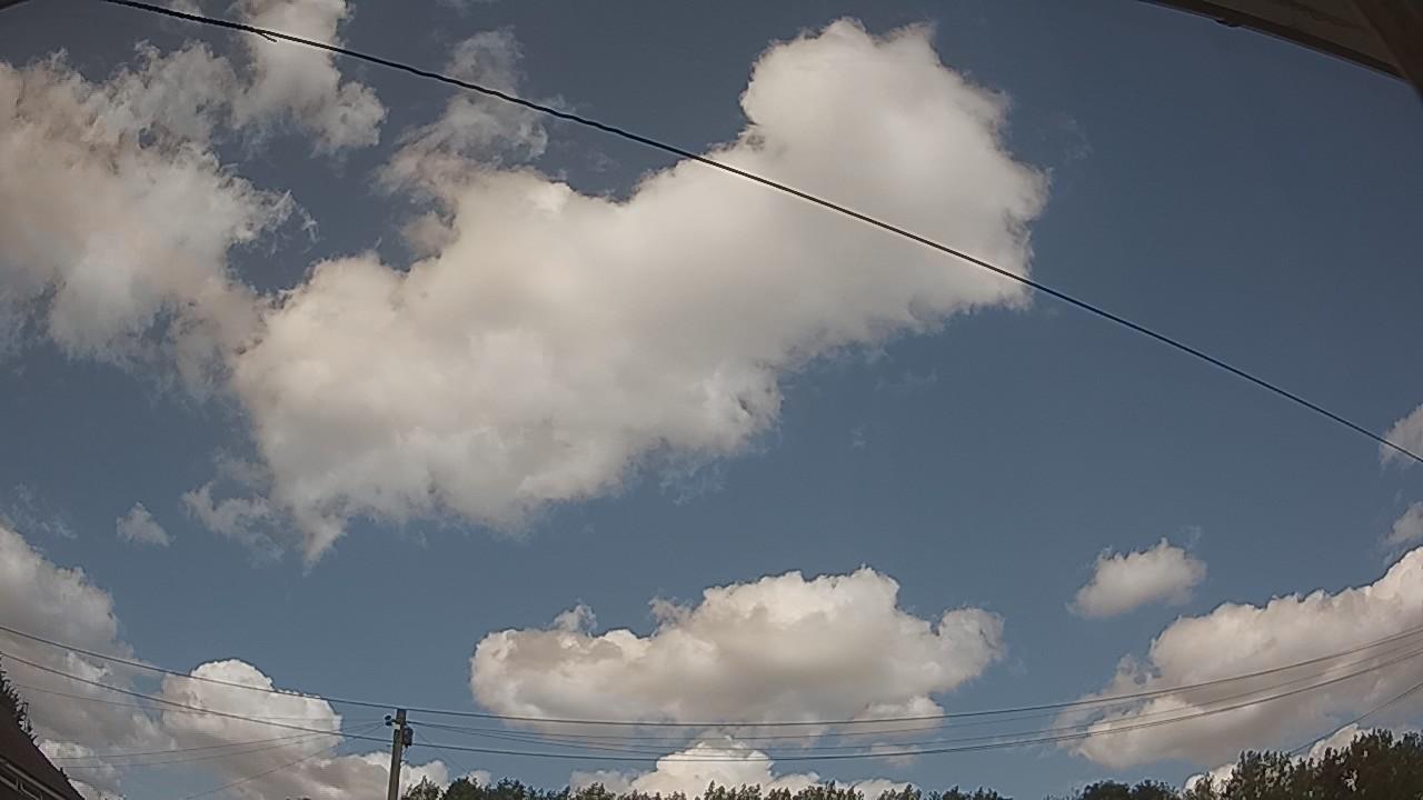 20260801_140029_cam2.jpg