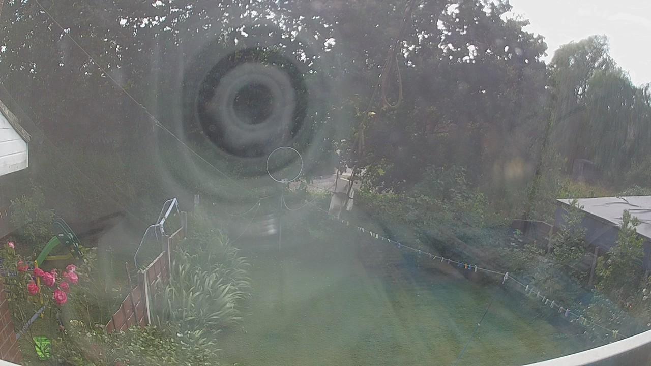 20260801_145338_cam1.jpg
