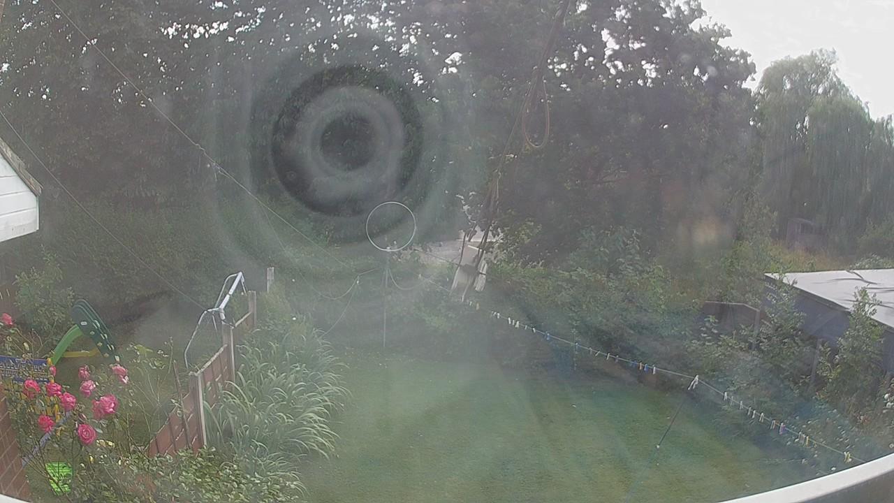 20260801_145653_cam1.jpg
