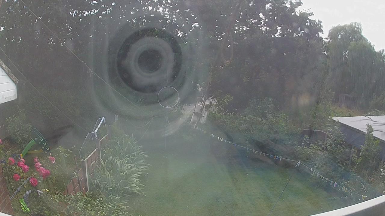 20260801_150612_cam1.jpg
