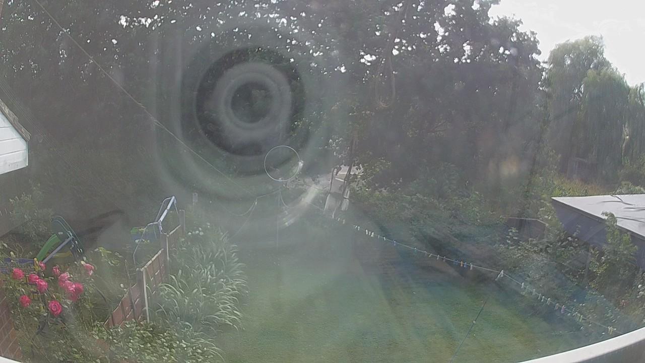 20260801_151225_cam1.jpg