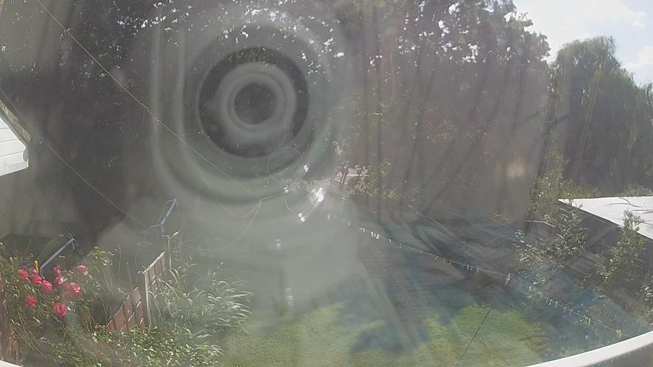 20260801_153103_cam1.jpg