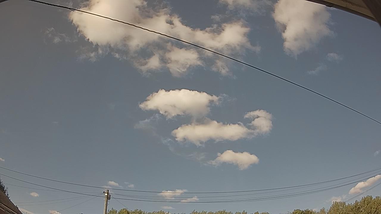 20260801_164910_cam2.jpg
