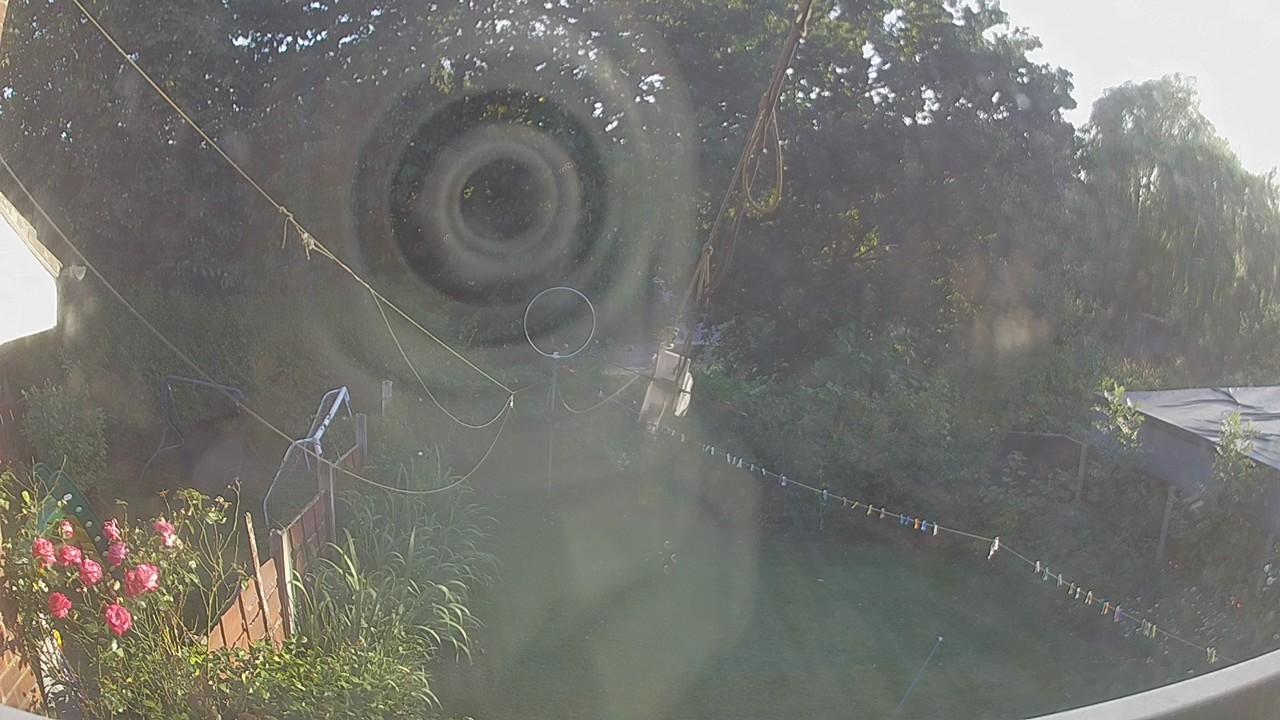 20260801_183002_cam1.jpg