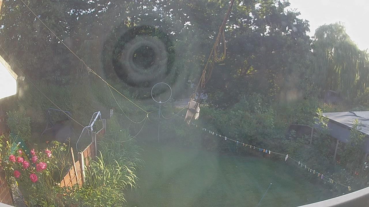 20260801_183335_cam1.jpg