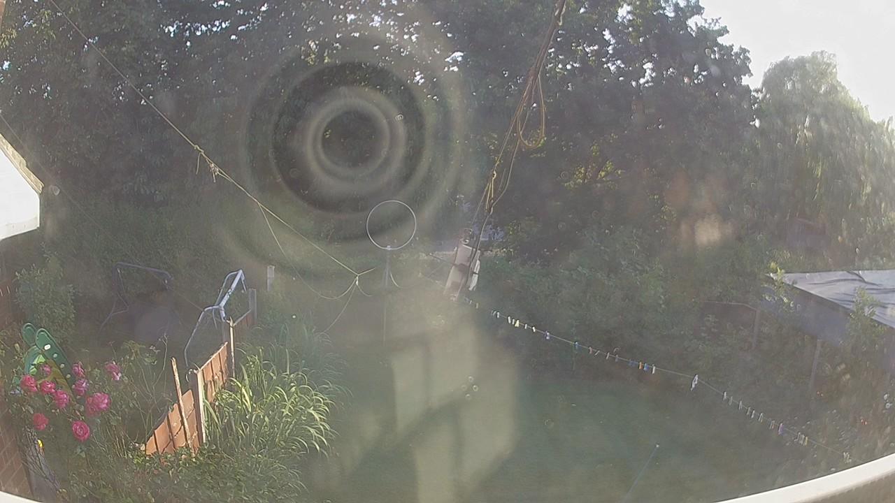 20260801_184041_cam1.jpg