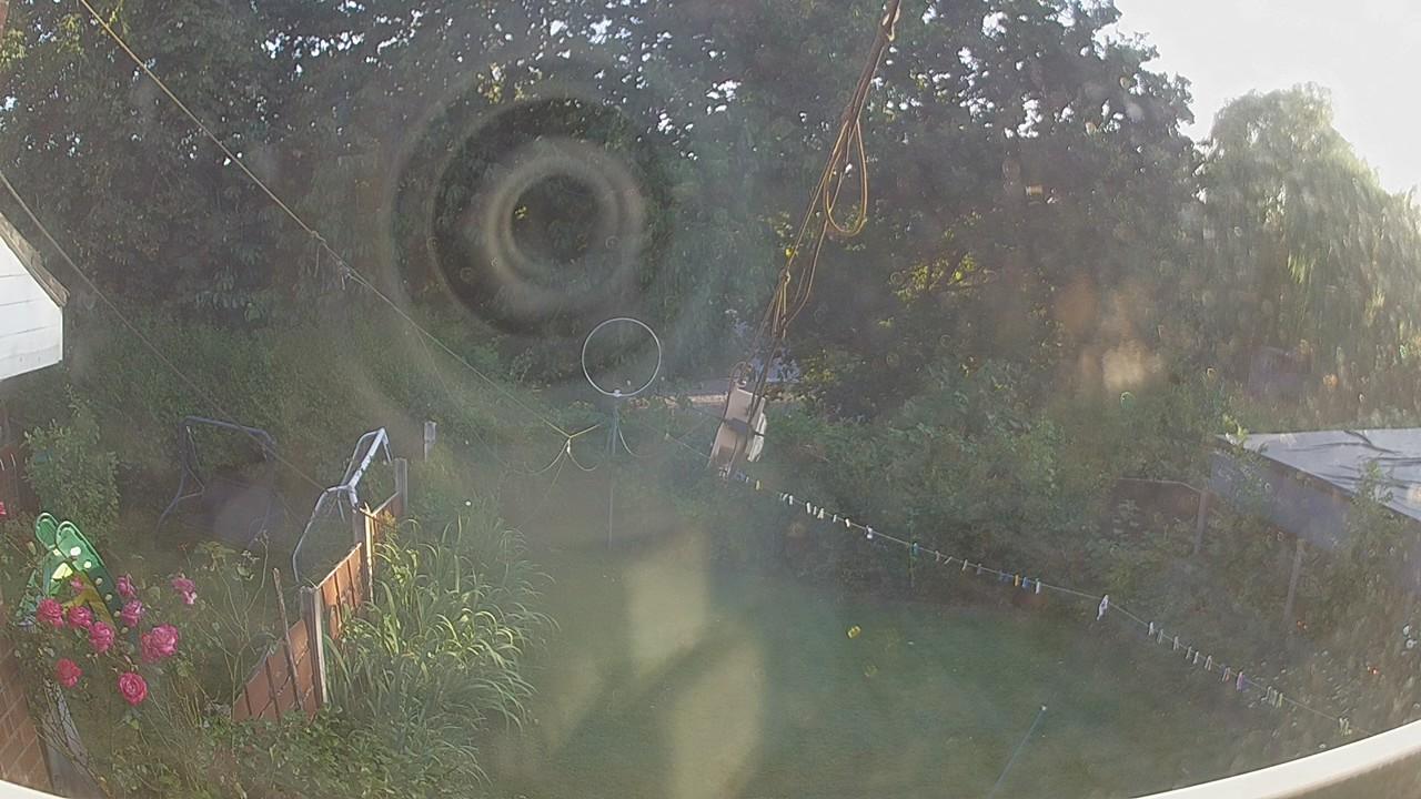 20260801_184748_cam1.jpg