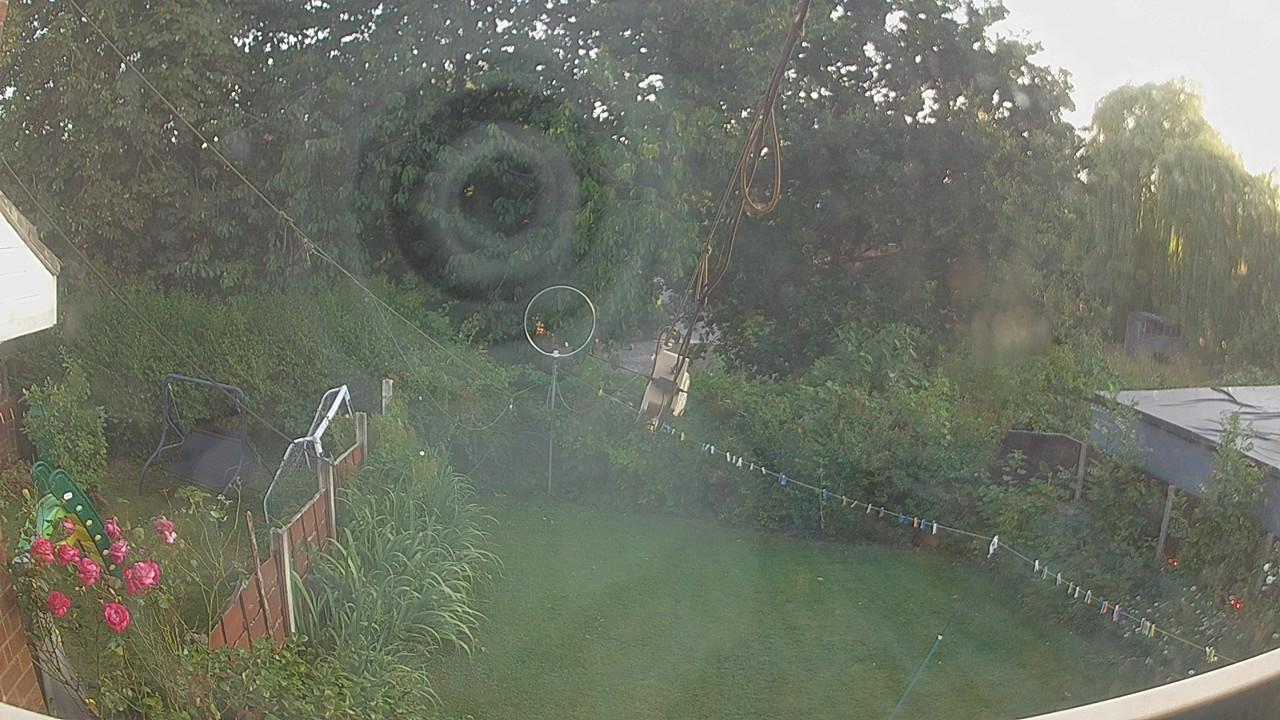 20260801_191408_cam1.jpg