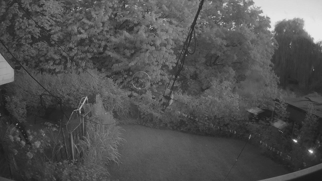 20260801_203914_cam1.jpg