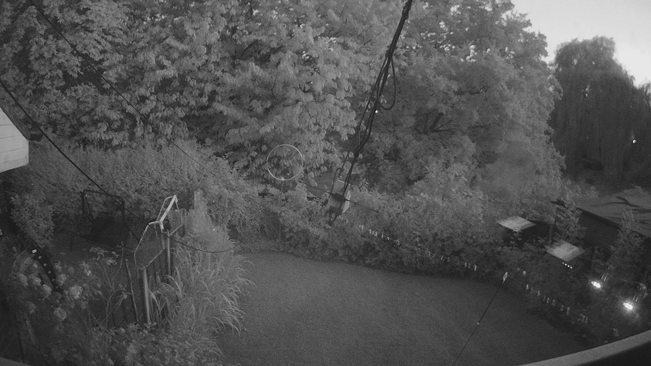 20260801_204350_cam1.jpg