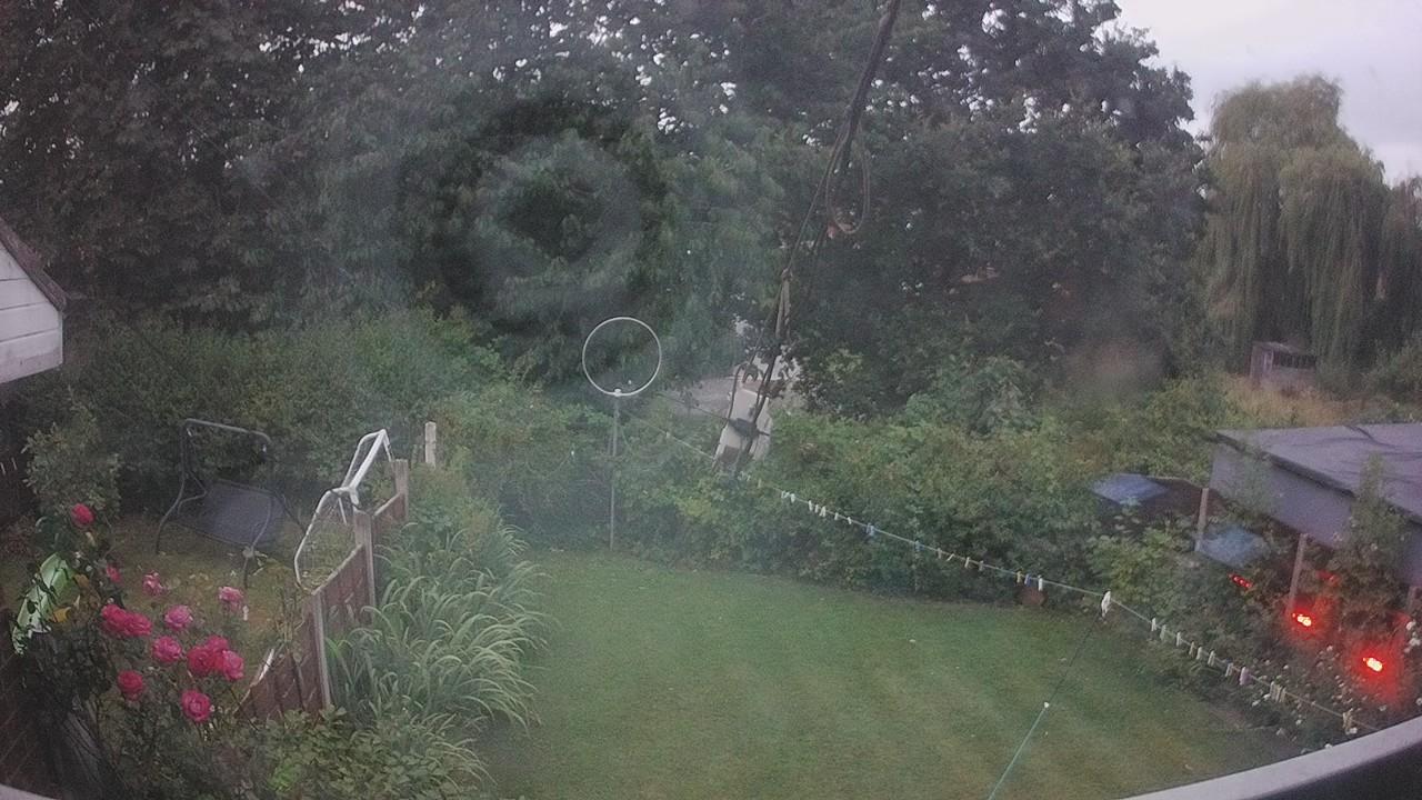 20260802_201427_cam1.jpg