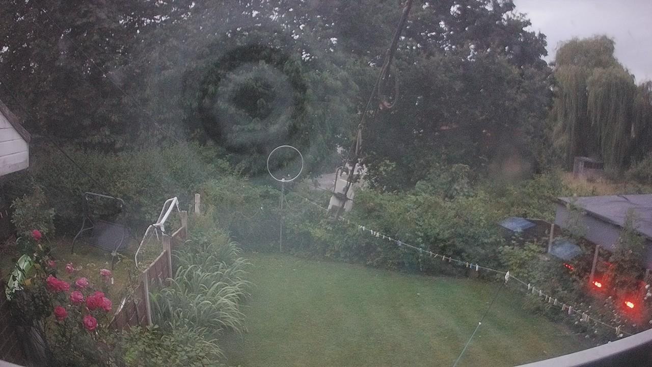 20260802_201854_cam1.jpg