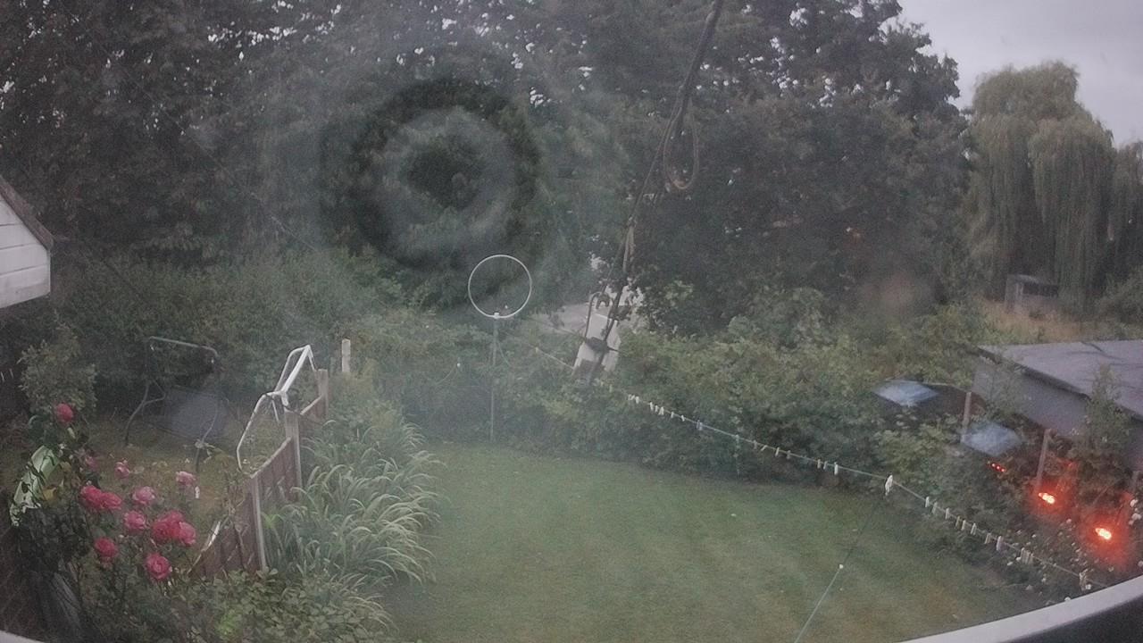 20260802_202322_cam1.jpg