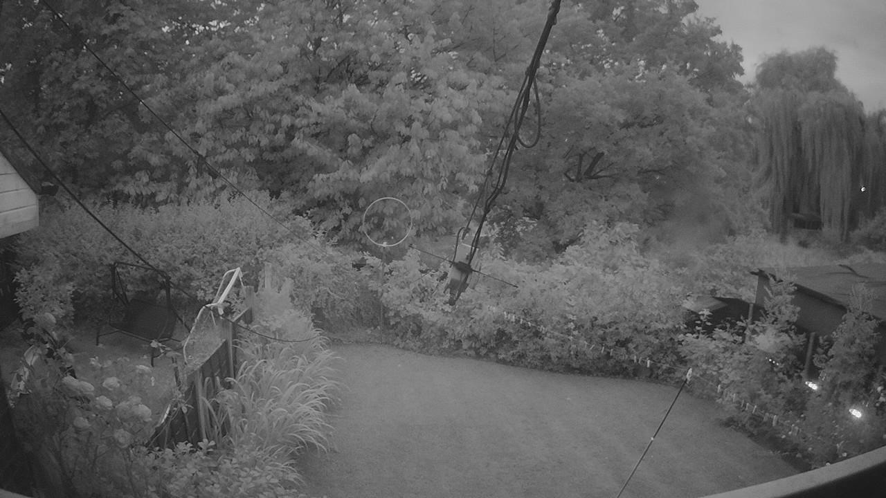 20260802_202748_cam1.jpg