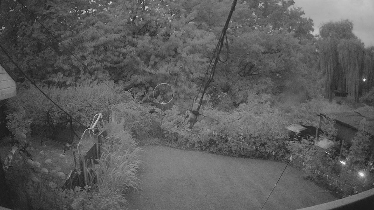 20260802_203157_cam1.jpg