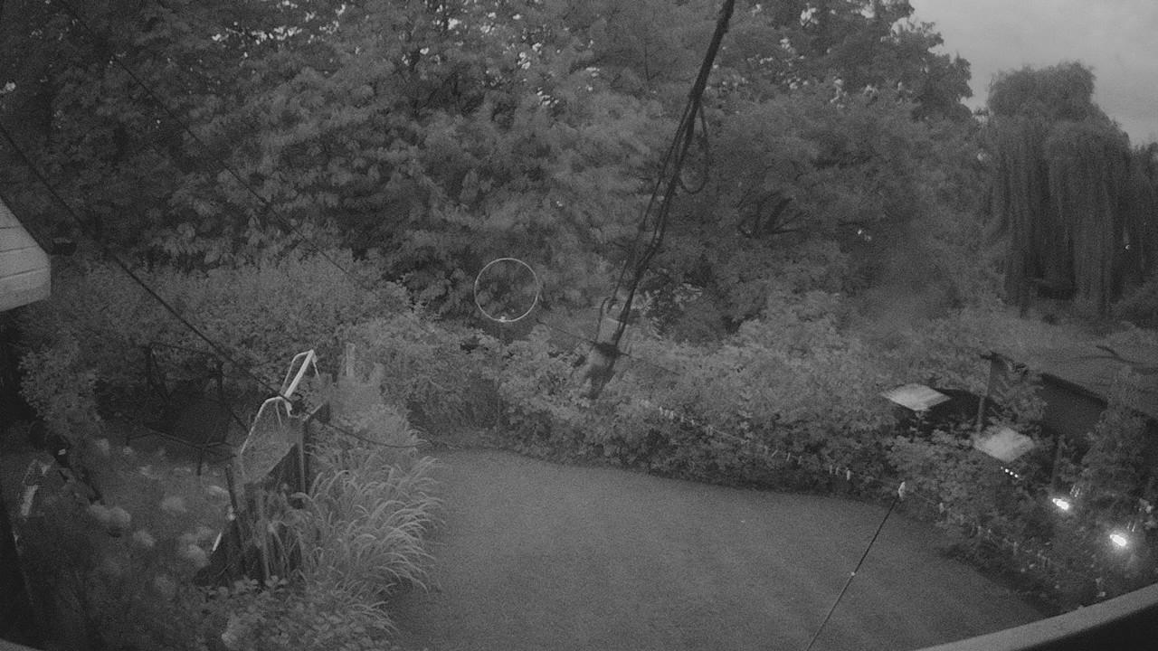 20260802_203606_cam1.jpg