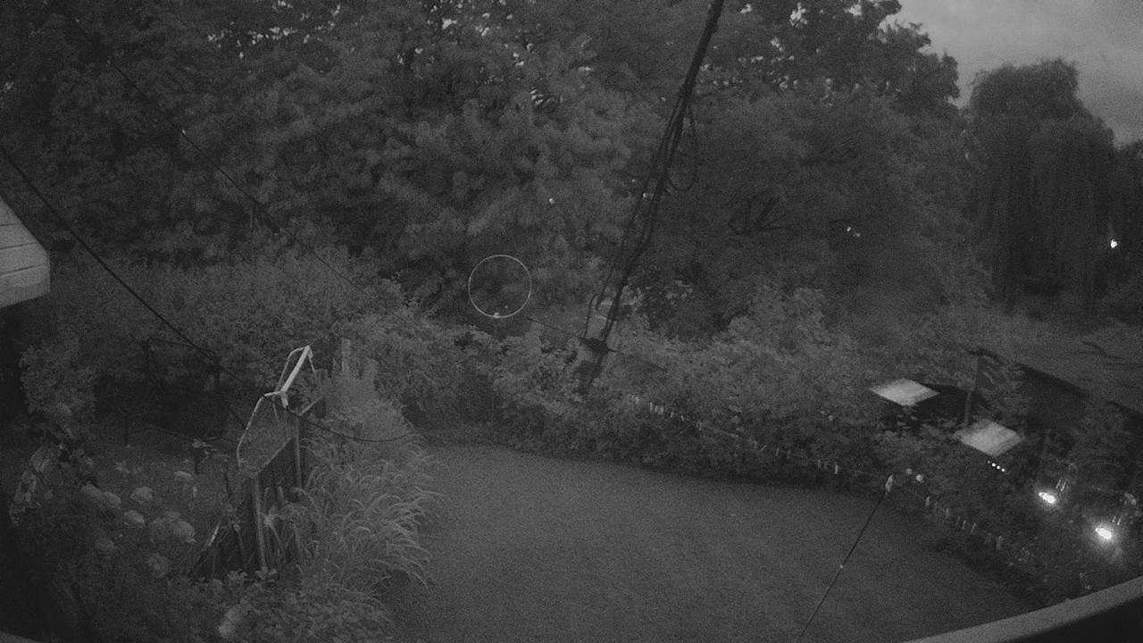 20260802_204015_cam1.jpg