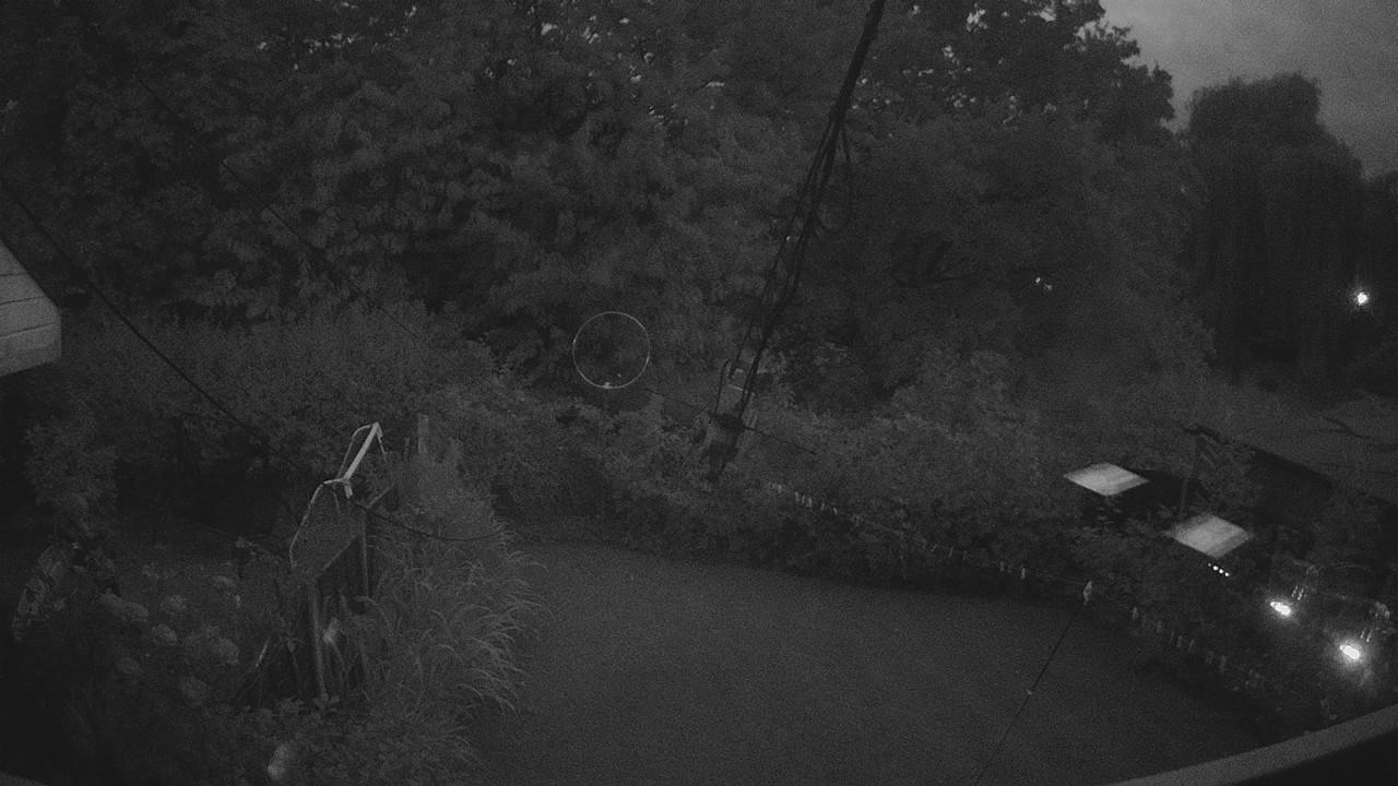 20260802_204425_cam1.jpg