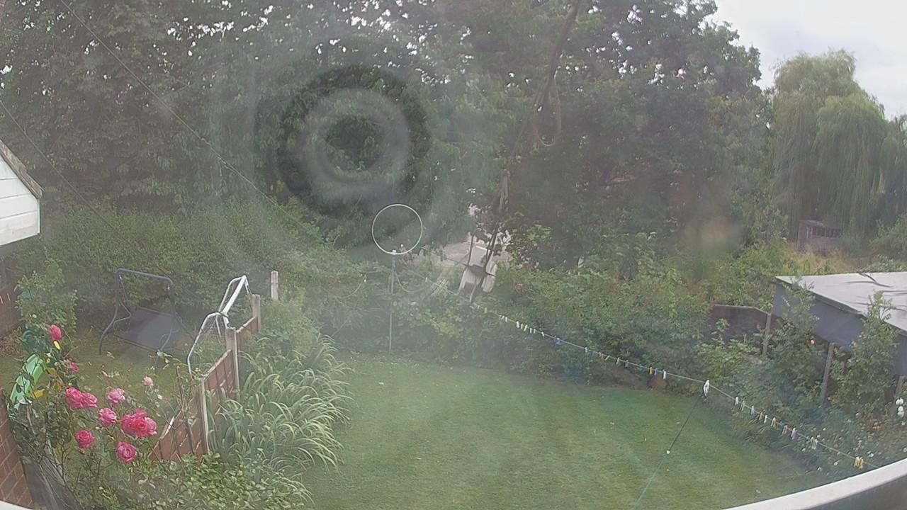 20260803_155237_cam1.jpg