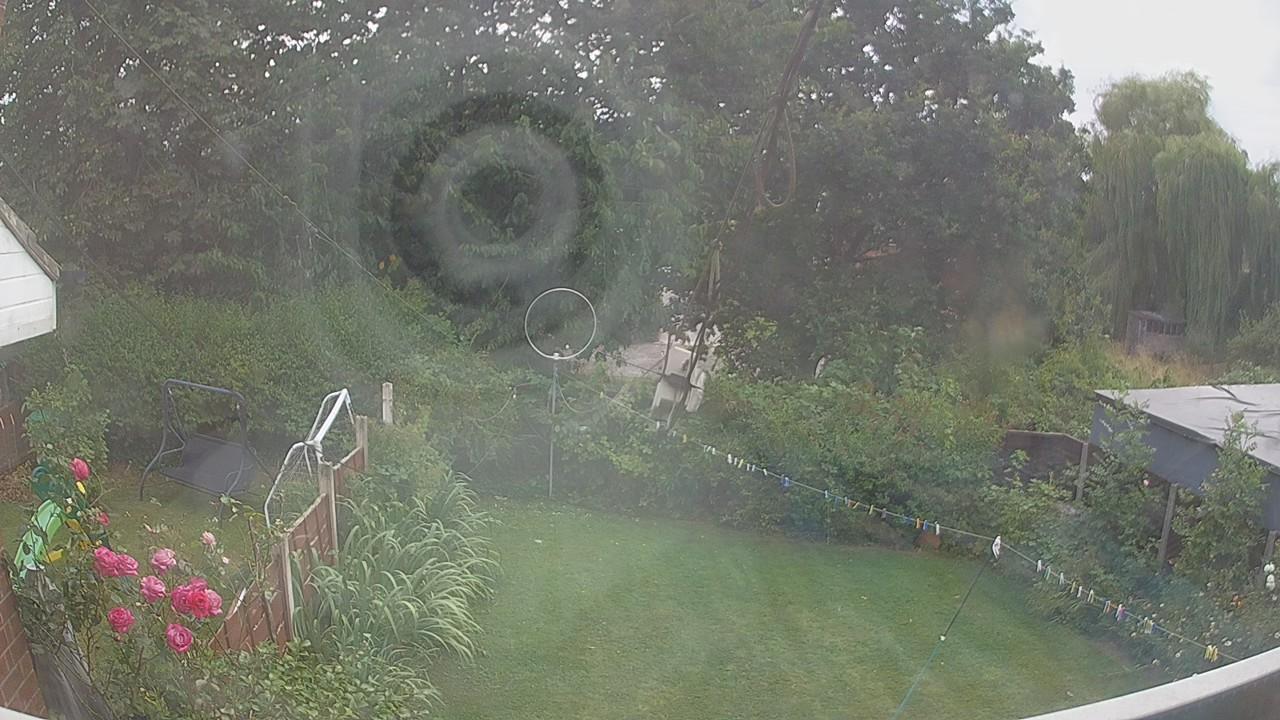 20260803_155646_cam1.jpg