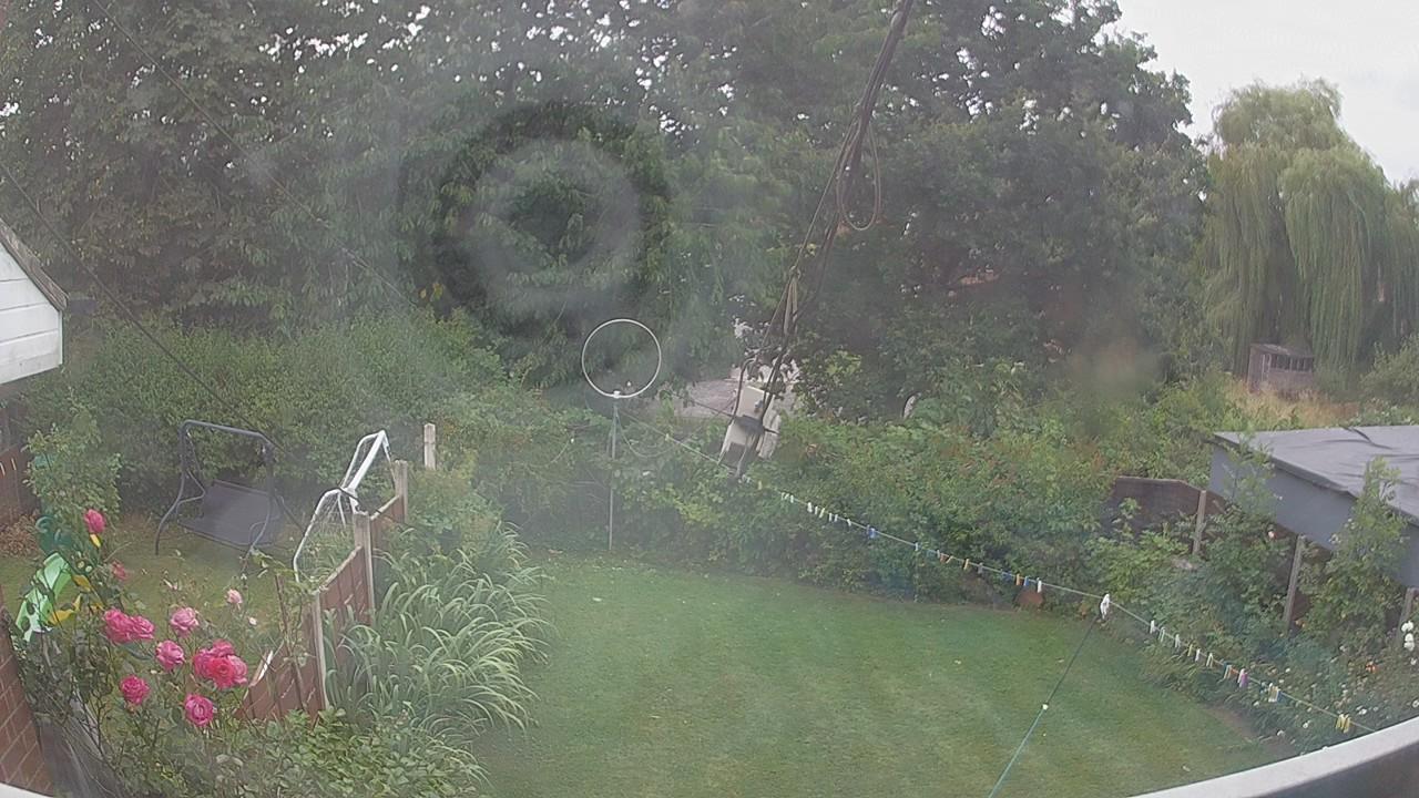 20260803_161817_cam1.jpg