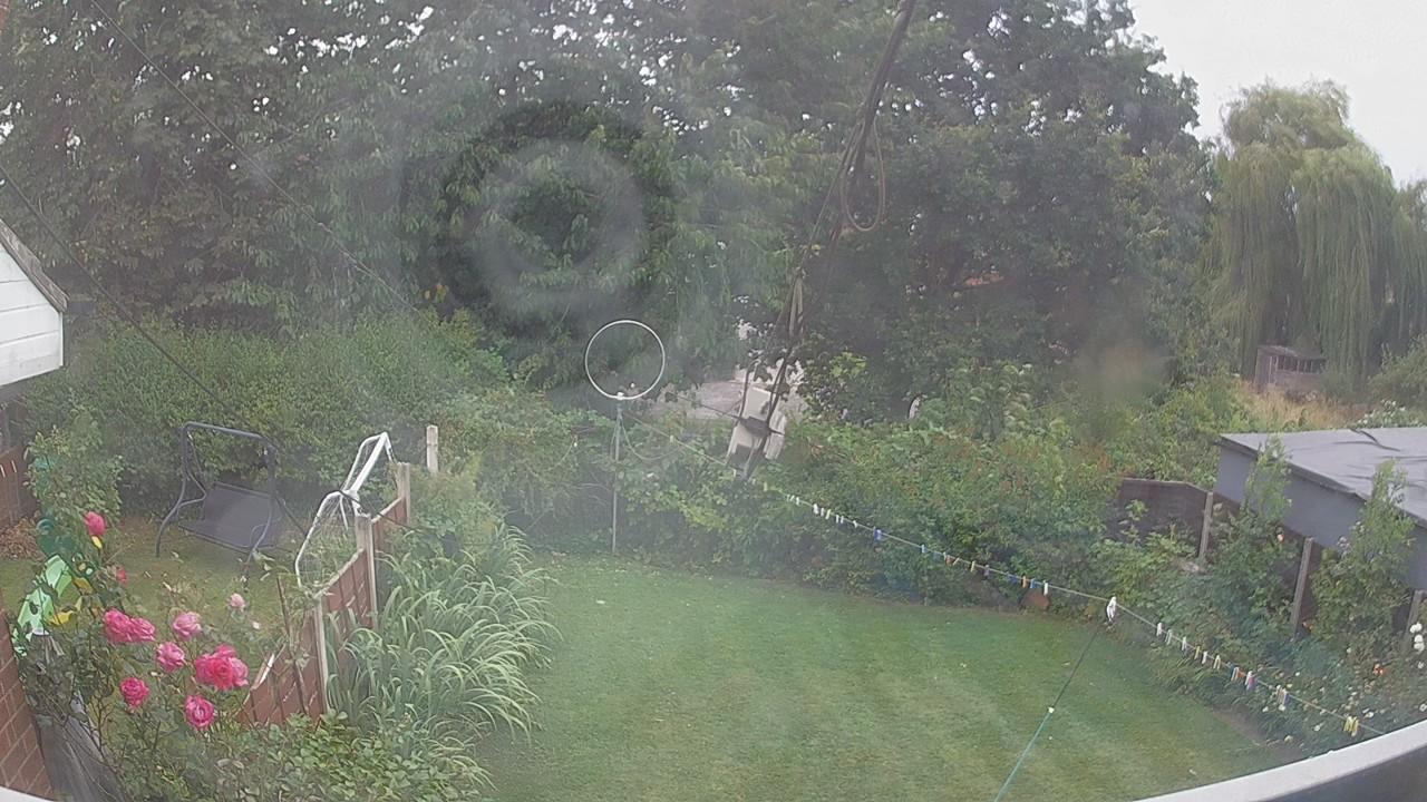20260803_165334_cam1.jpg