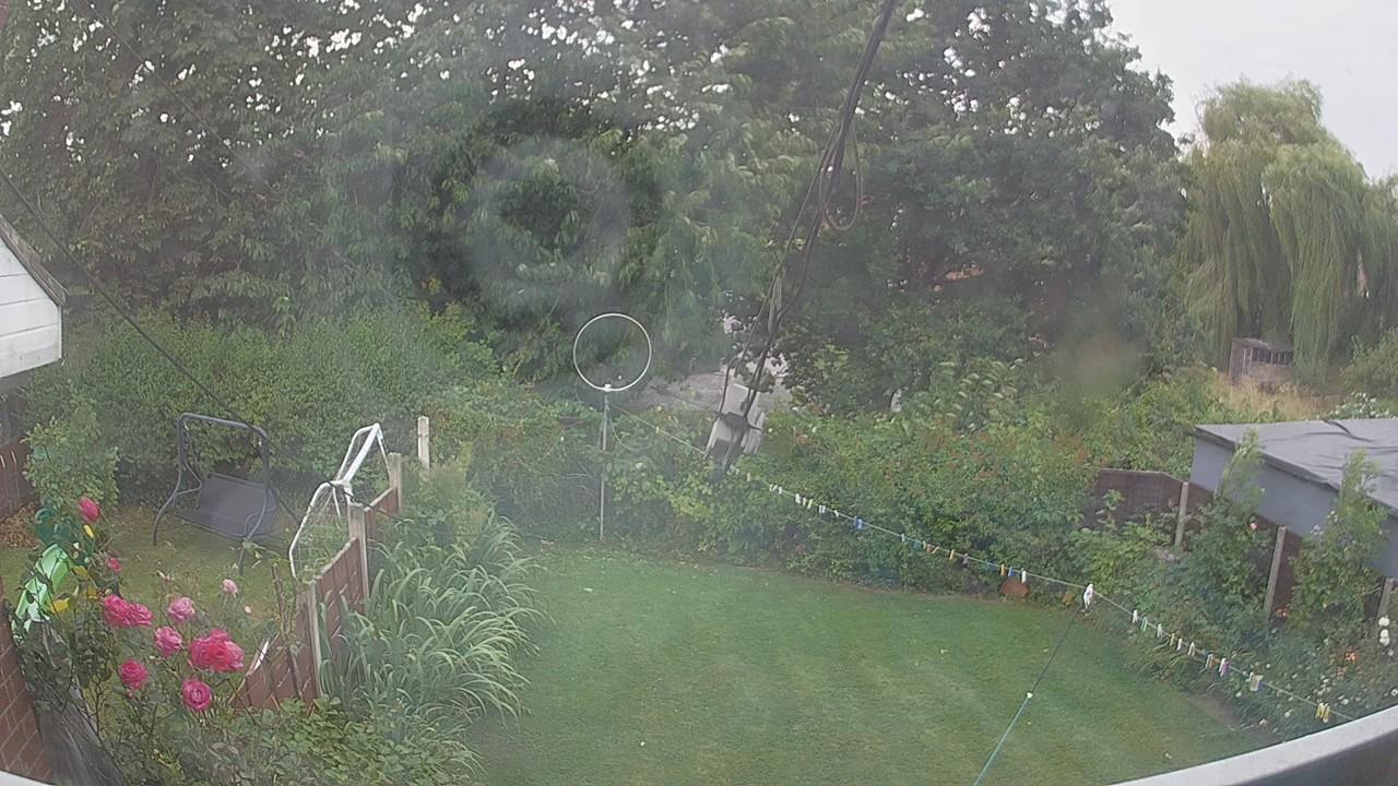 20260803_174517_cam1.jpg