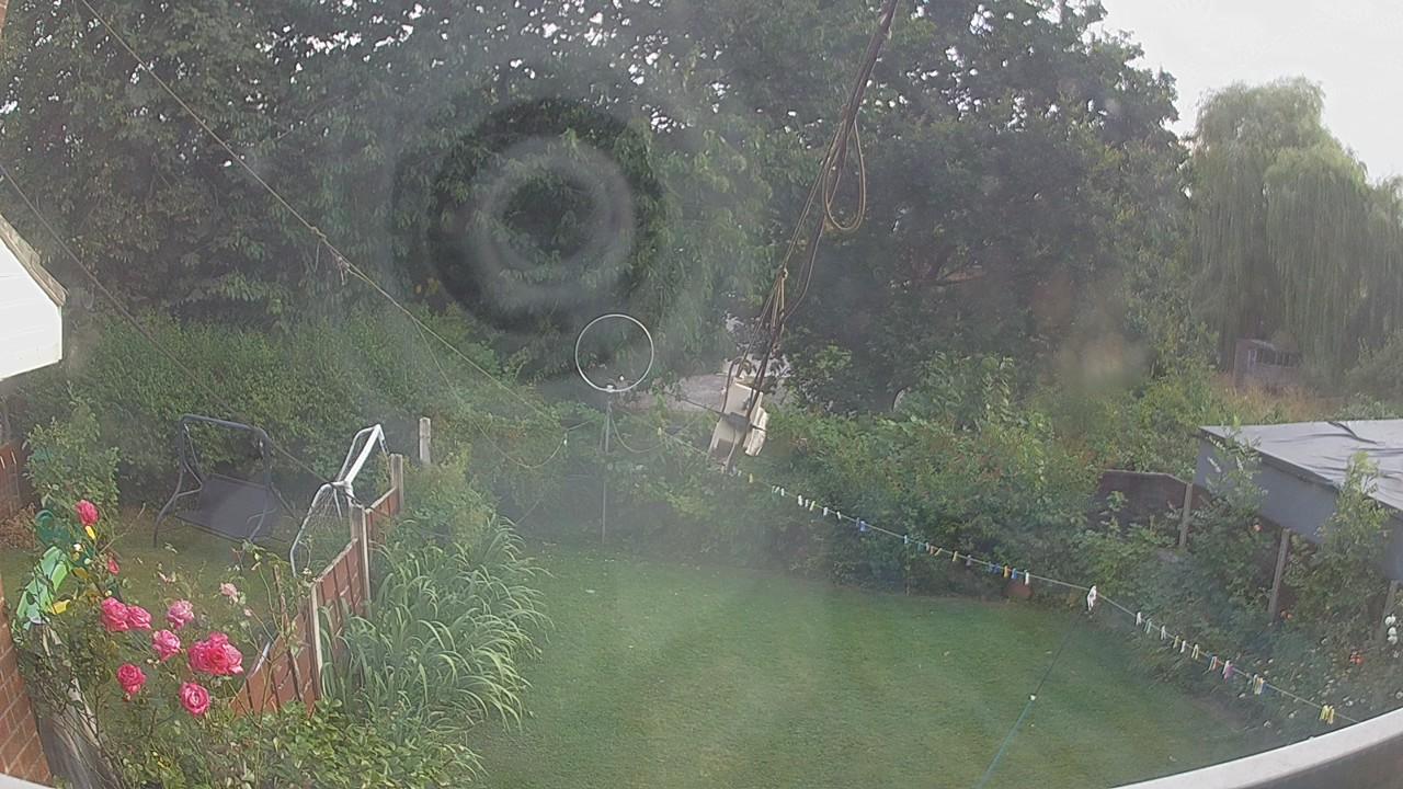 20260803_182307_cam1.jpg