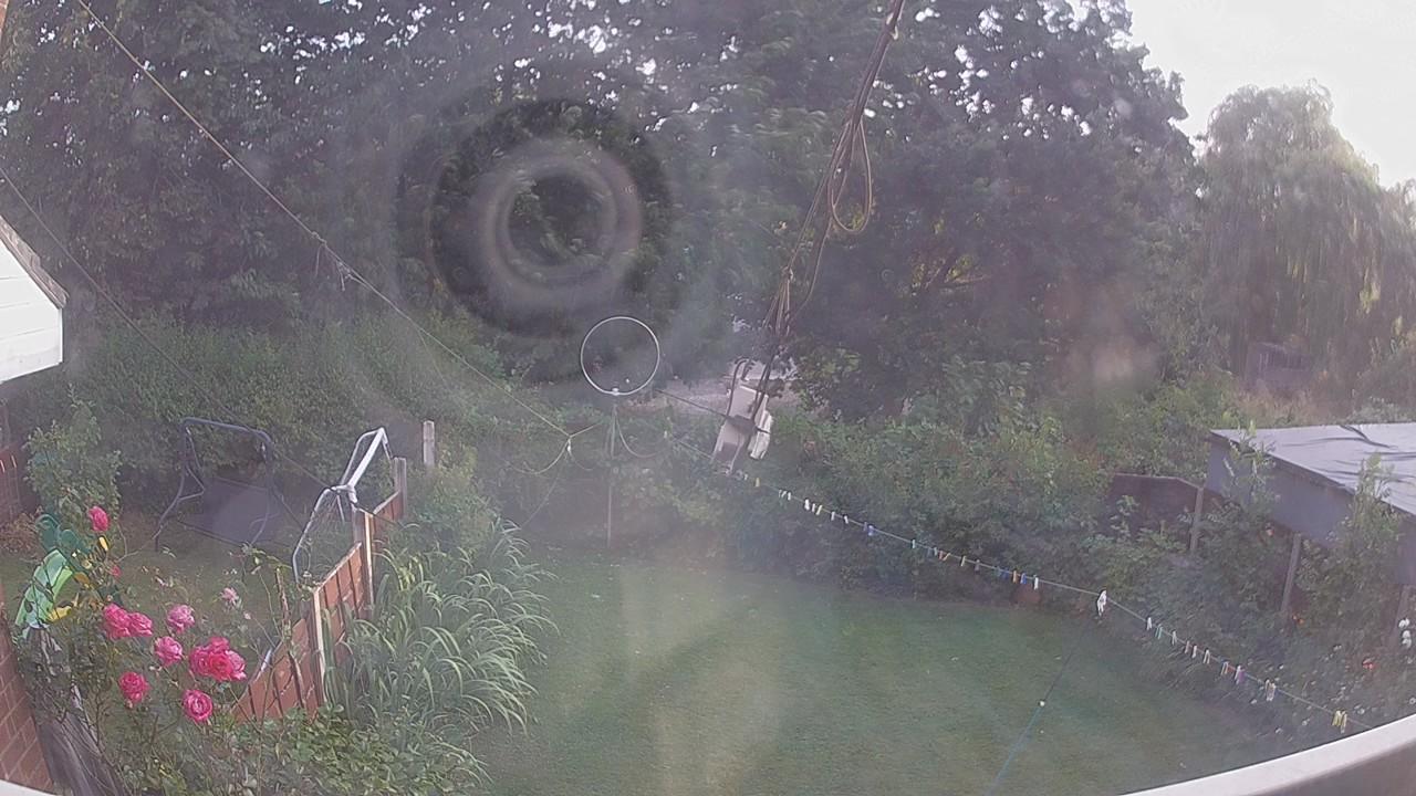 20260803_184546_cam1.jpg