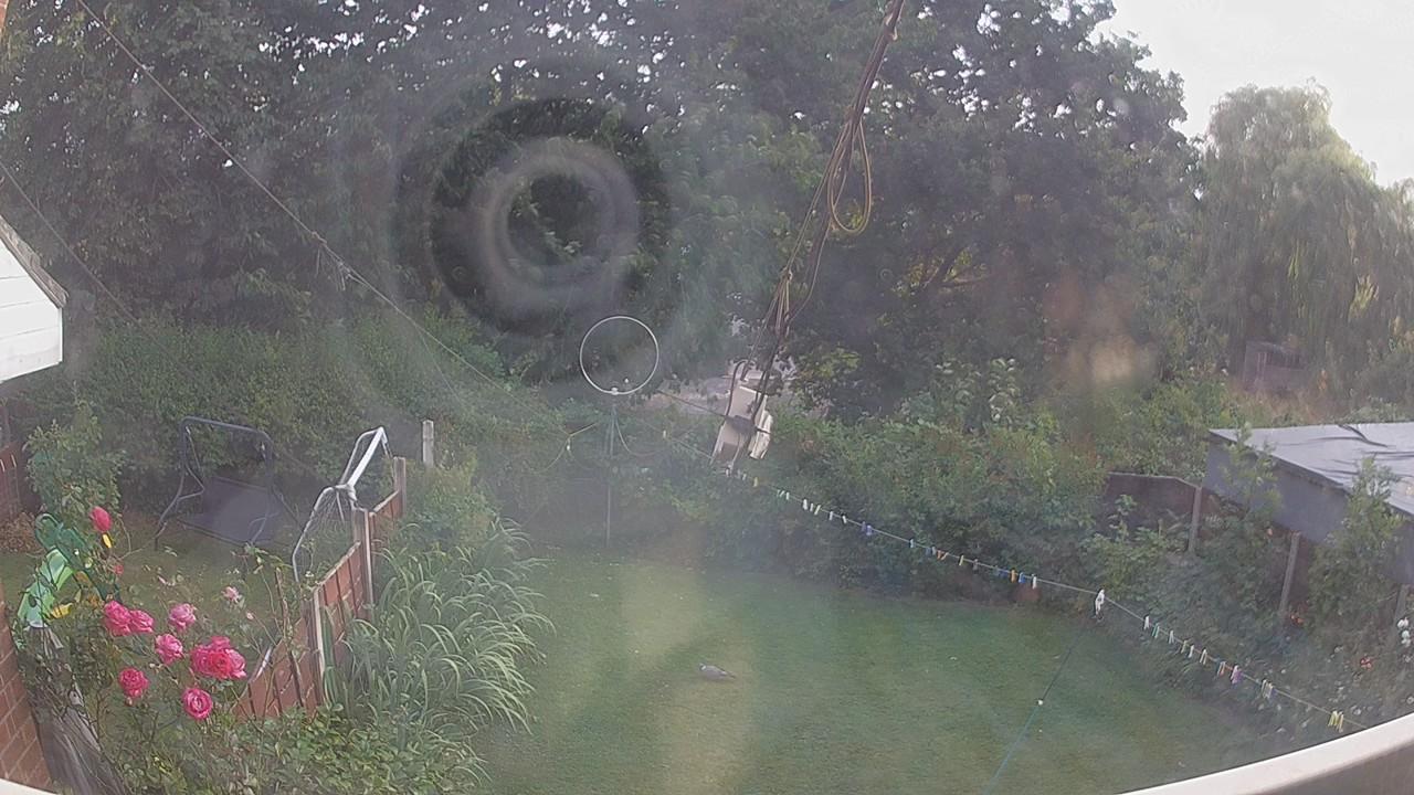 20260803_184928_cam1.jpg