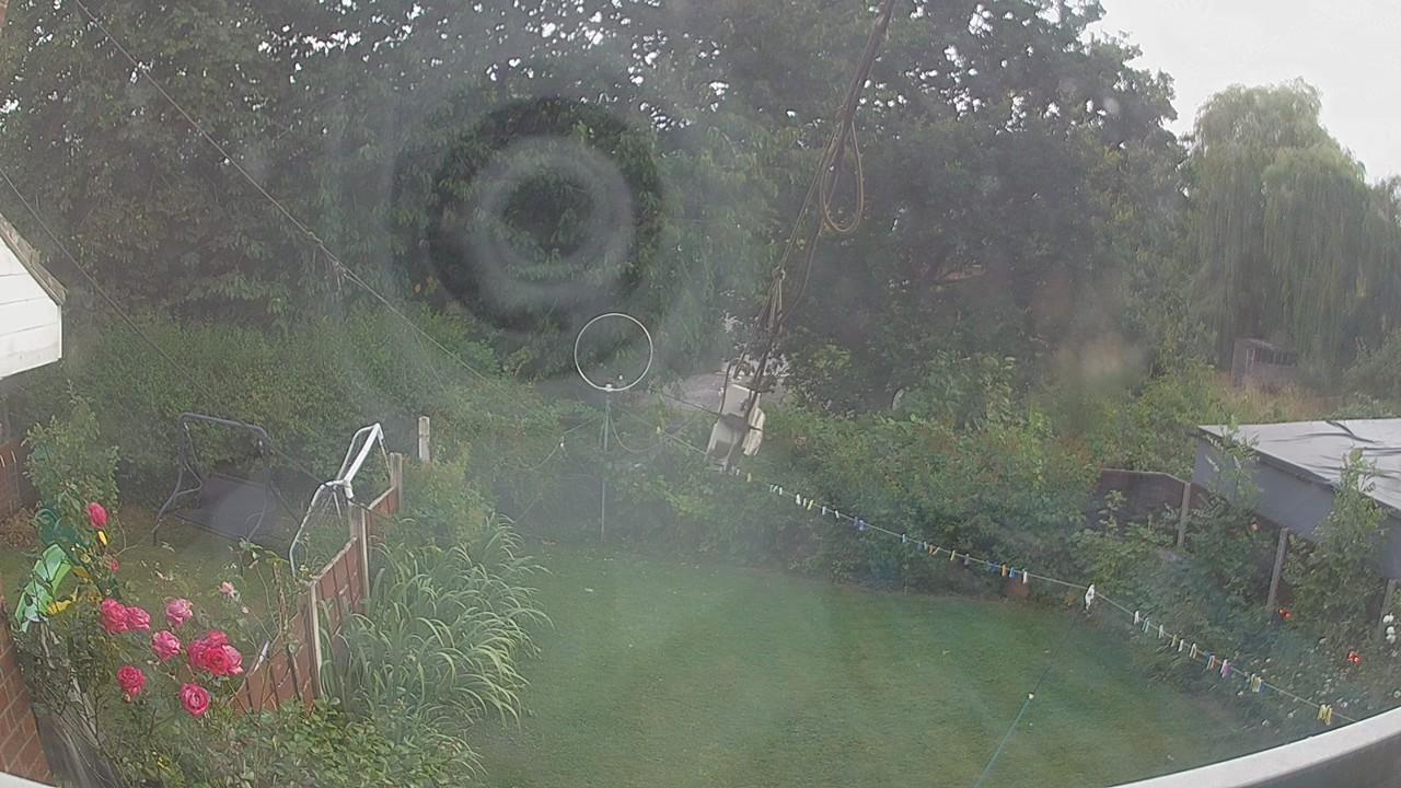 20260803_190025_cam1.jpg