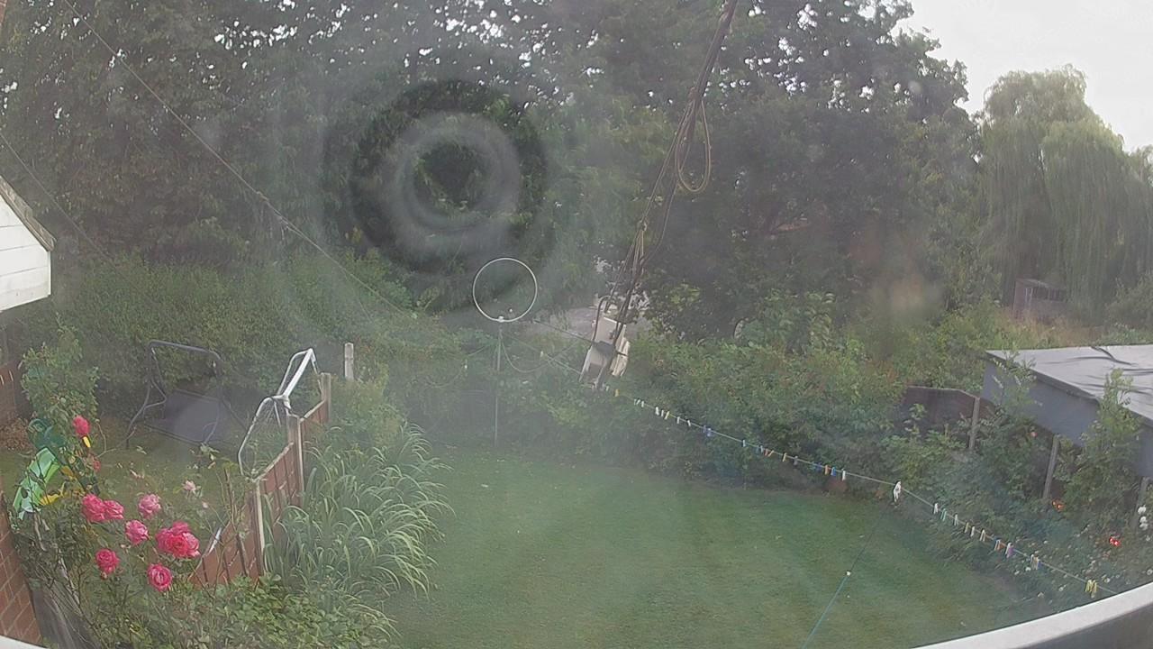 20260803_190731_cam1.jpg
