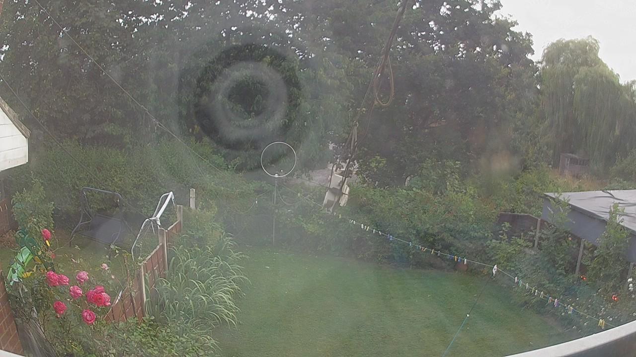20260803_191105_cam1.jpg