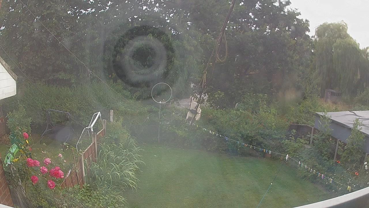 20260803_191437_cam1.jpg